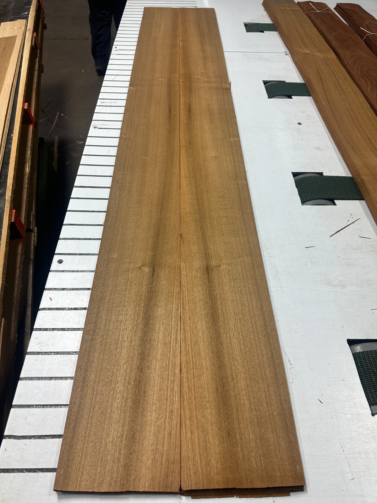 Teak Raw Wood Veneer 2 sheets 88″ x 7.5» 917R