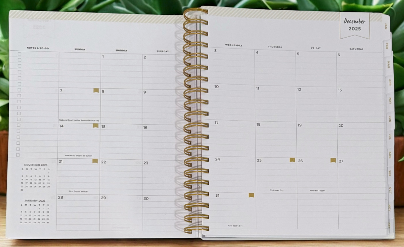 2026 Aurora Boreal Gradient Daily/Monthly Planner Gift Set
