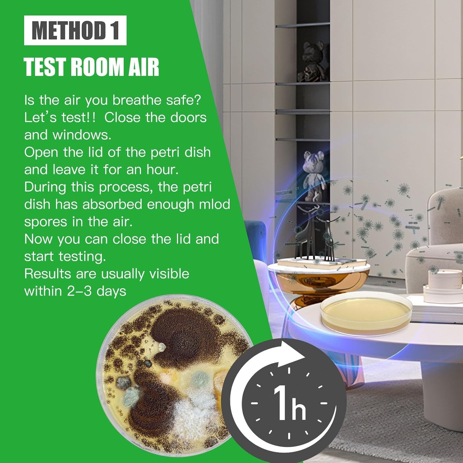 Mold Test Kit for Home Within 12 Individual Tests,DIY Detector at Home, Surf…