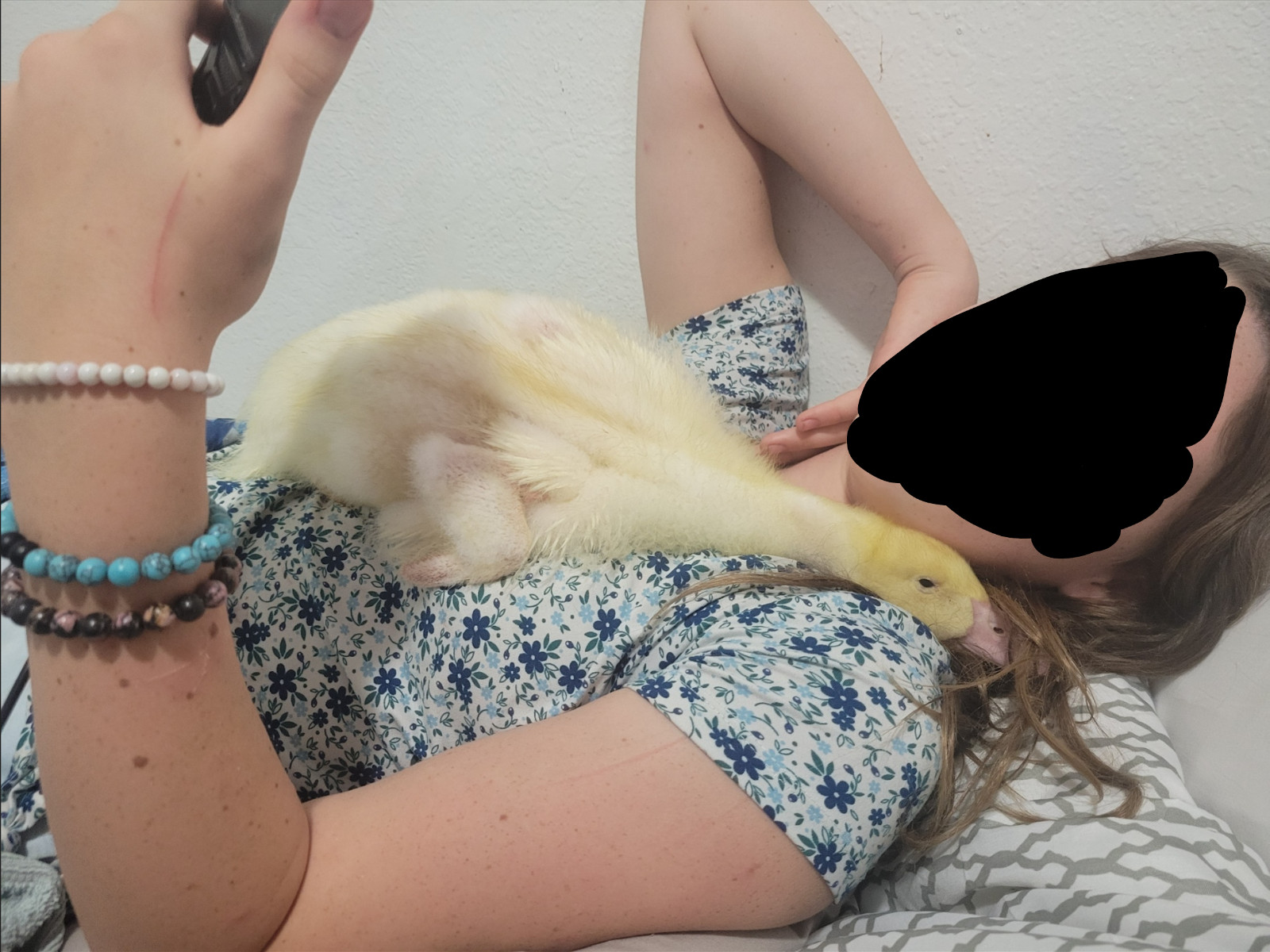 12 Fertile Jumbo Pekin Duck Hatching Eggs, Free Range, All Natural