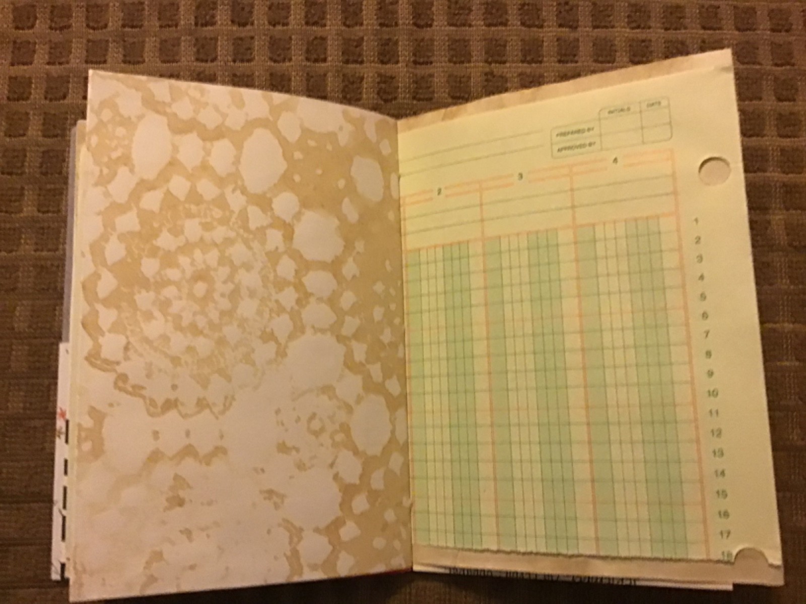 Handmade Naked Junk Journal 6” x 4.5” Mushroom Print Card Stock Cover