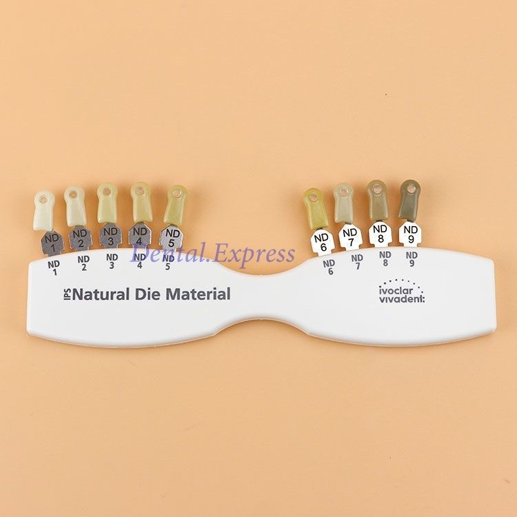 Ivoclar Vivadent Dental Shade Guide A-D 20 IPS or Natural Die ND1-9 Bleach Teeth