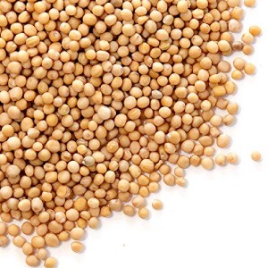 Yellow Mustard Seeds Bulk, 5-Pounds
