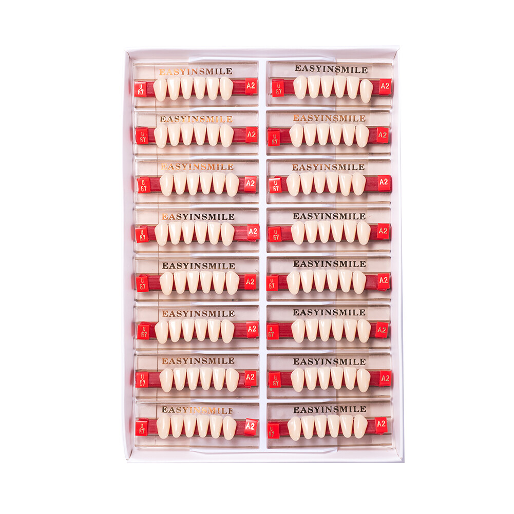 Dental Acrylic Resin Denture Teeth False DIY Full Set Anterior Posterior A1A2A3