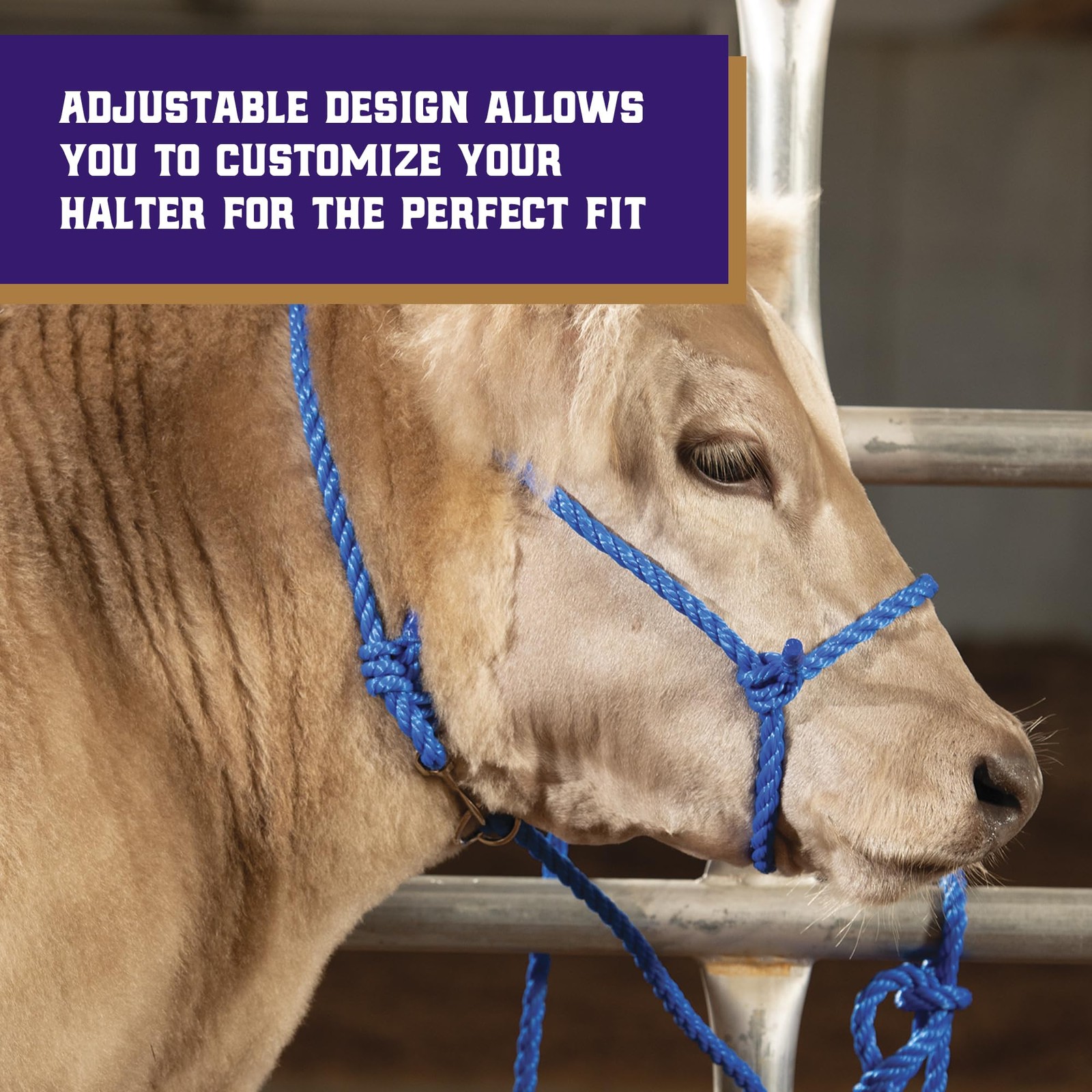 Weaver Livestock Braided Poly Rope Cattle Halter, Adjustable, Modern Style Co…