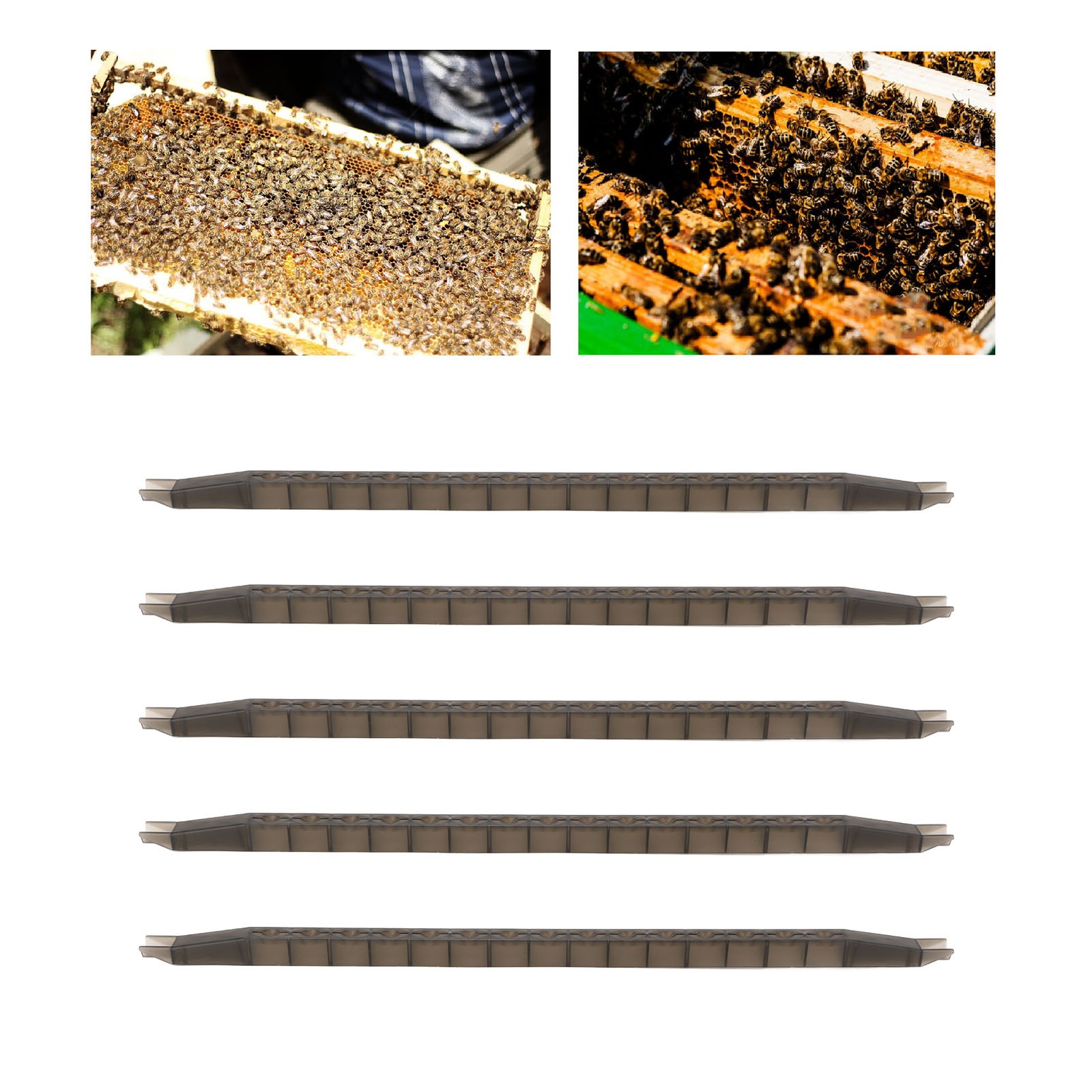 5Pcs Queen Bee Cell Cup Bar Kit W/Frame 15 Holes Plastic Rearing Cage Box US
