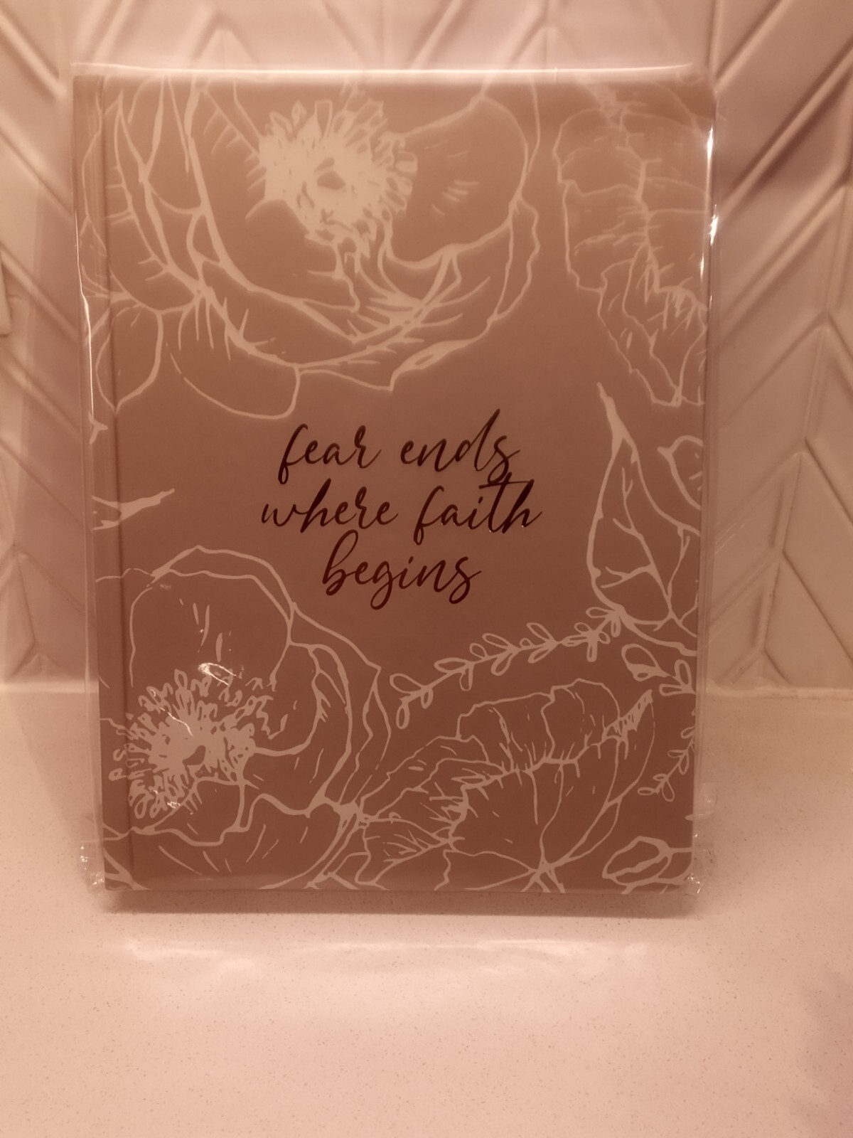 Oliver and Co. Fear ends Where Faith Begins Journal.