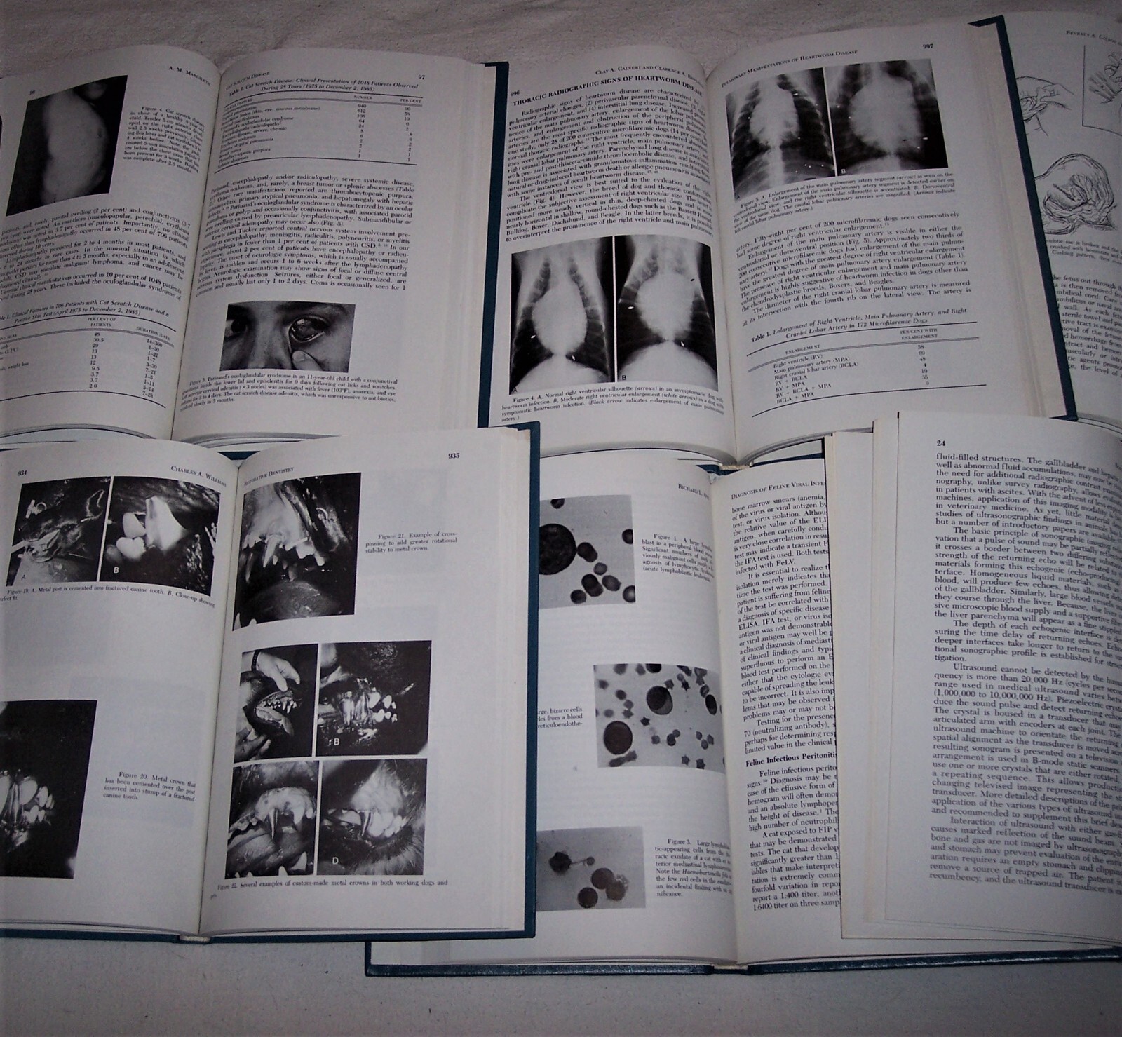 Veterinary Clinics of America Book G5 LOT of 8 Sm Animal 1985-87 As-Is Sale READ