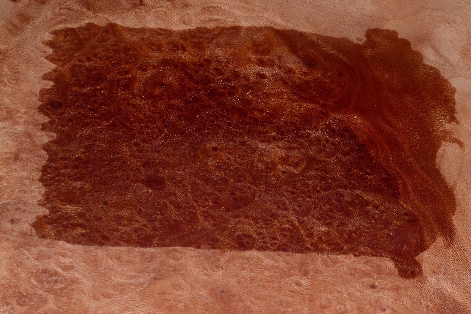 Planetree Burl Raw Wood Veneer Sheets 8 x 10 inches 1/42nd IFPa7368-37