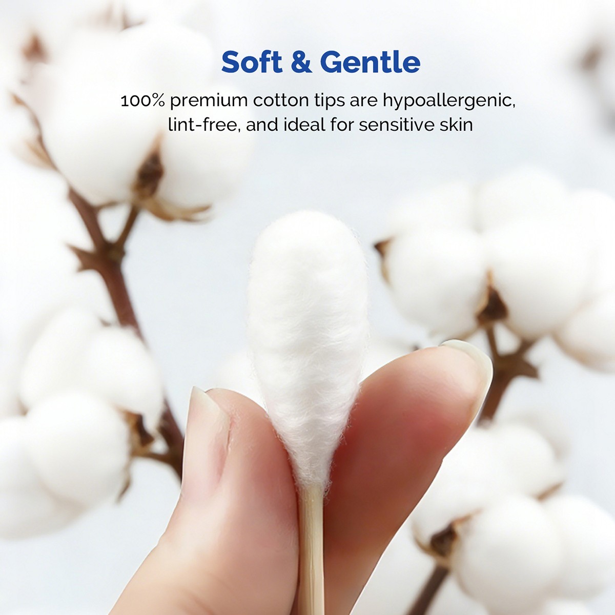 500pcs Cotton Tipped Applicators 6″（15.2cm）Wood Shaft Medical Disposable Clean