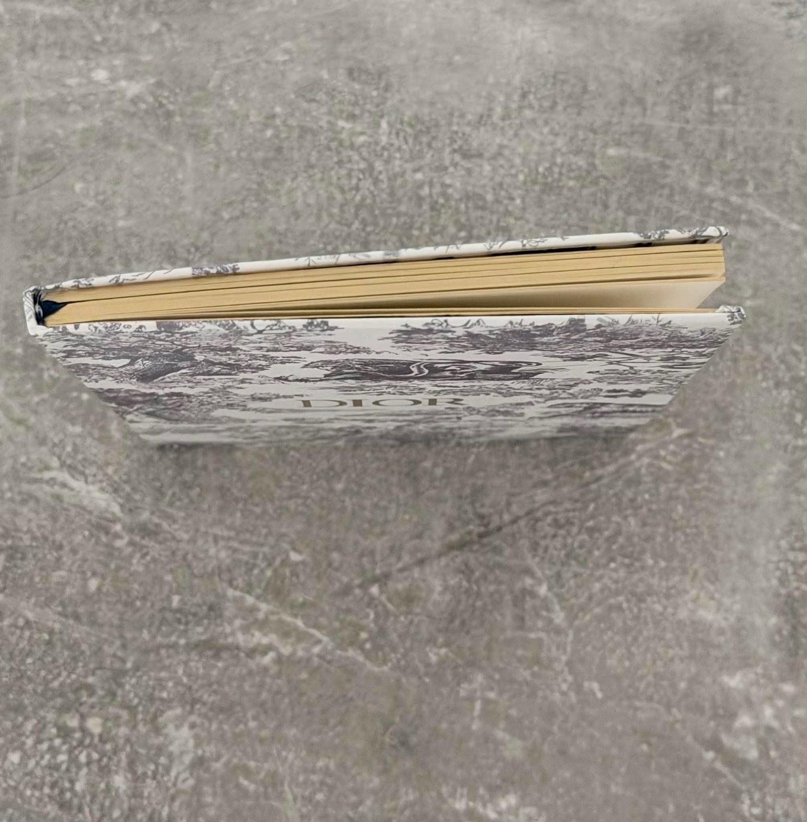 Christian Dior Notebook NEW Journal novelty GWP