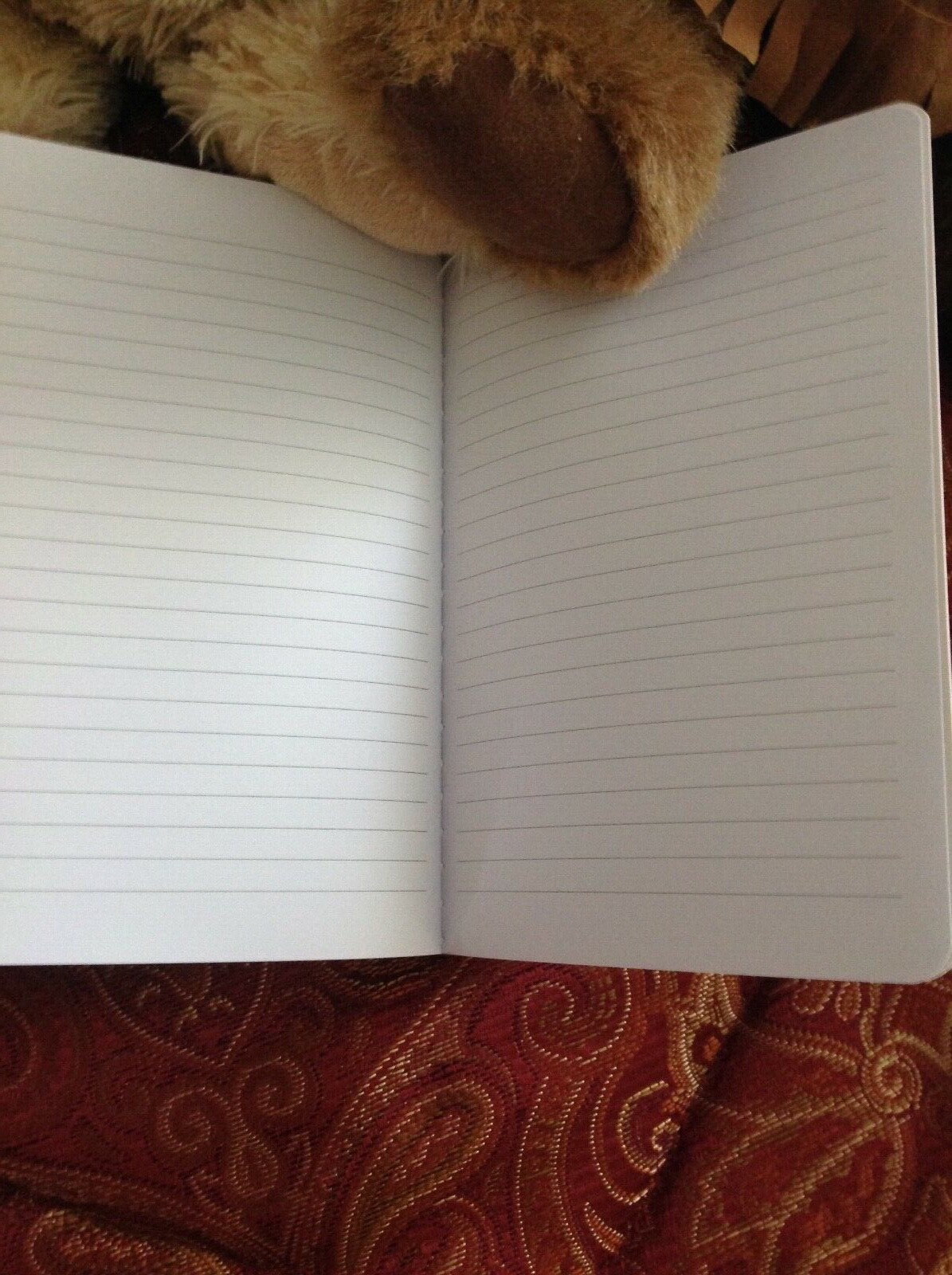The Lord Is My Strength and My Song Journal- Beautiful cover!