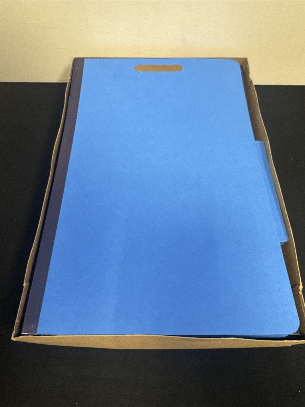 10 Count Pendaflex Dark Blue Legal Classification Folders