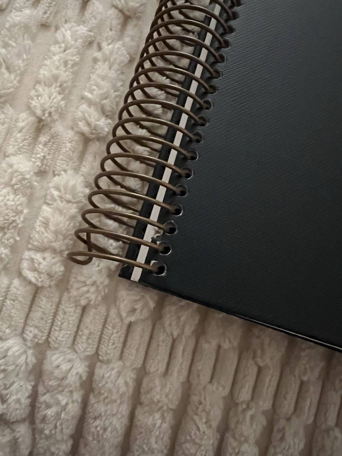 Laurel Denise The Scout Planner – Undated – used