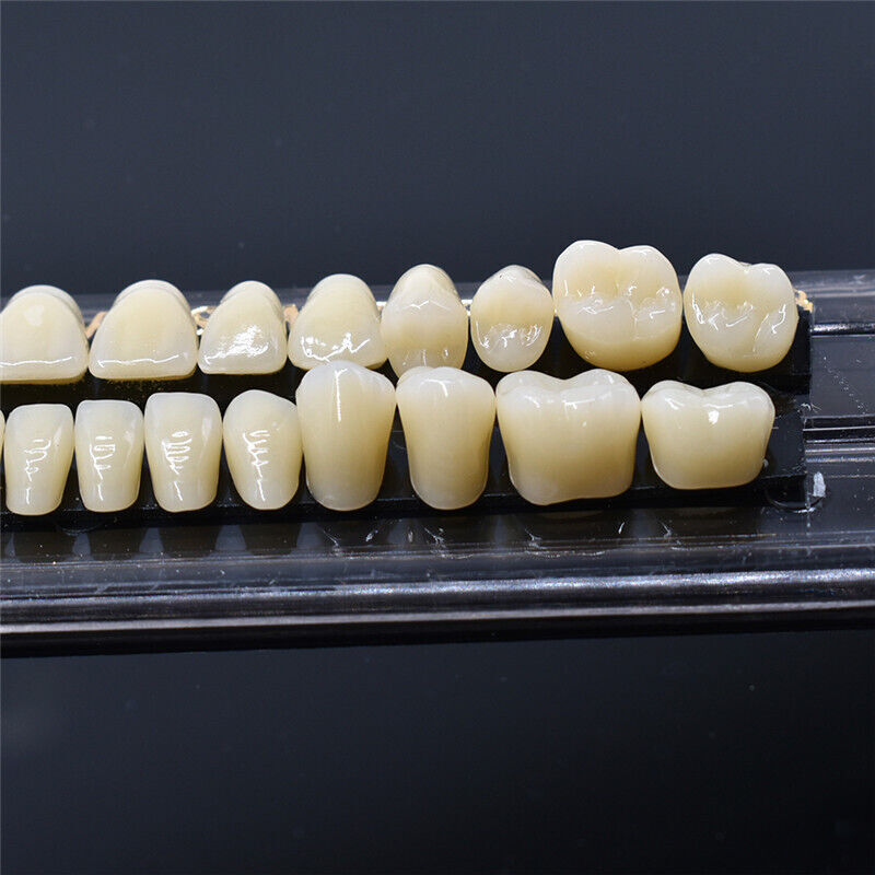 28pcs/set Dental Acrylic Resin Teeth Shade A2 A3 Full Set Denture Upper Lower