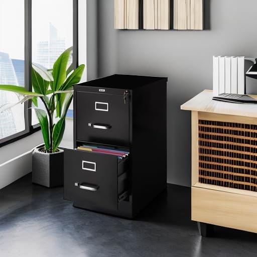 2-Drawer Vertical File Cabinet Letter Size Documents Lockable 22″ D x 15″ W x