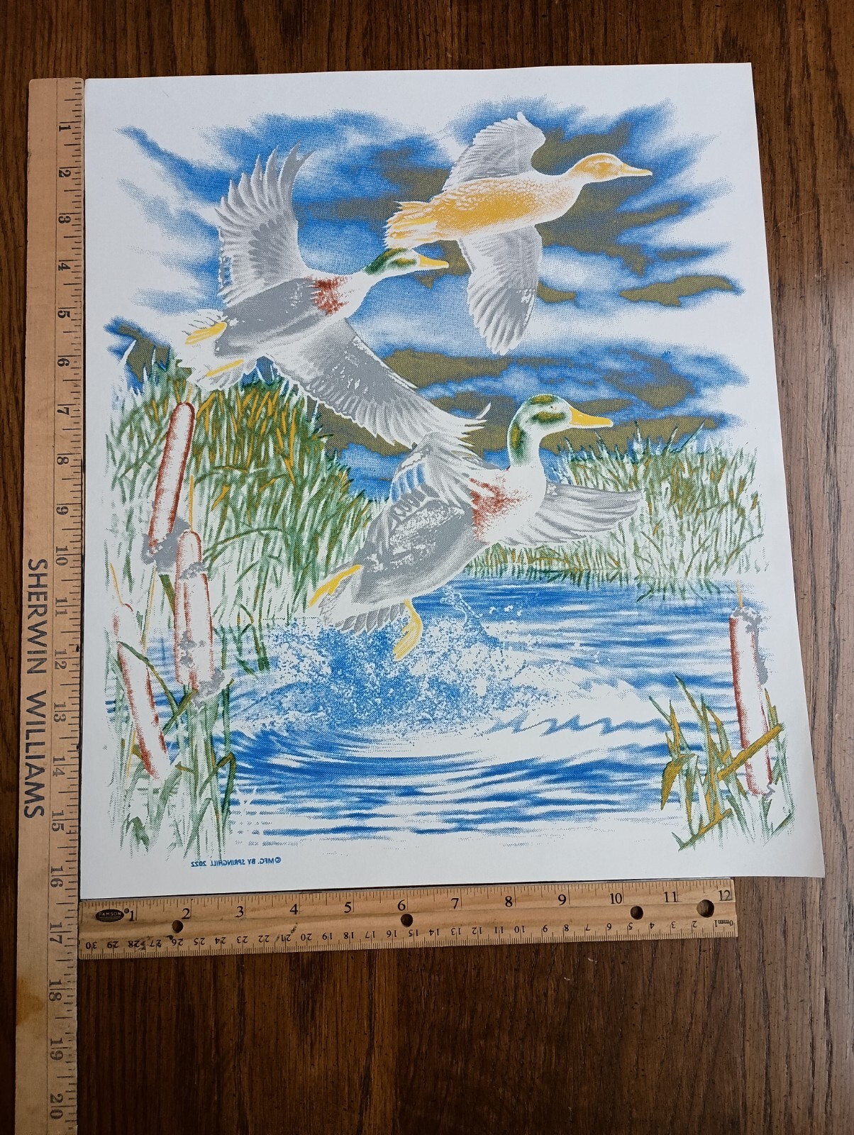Authentic Vintage 90’s Ducks Outdoors Nature Heat Transfer Iron On NOS