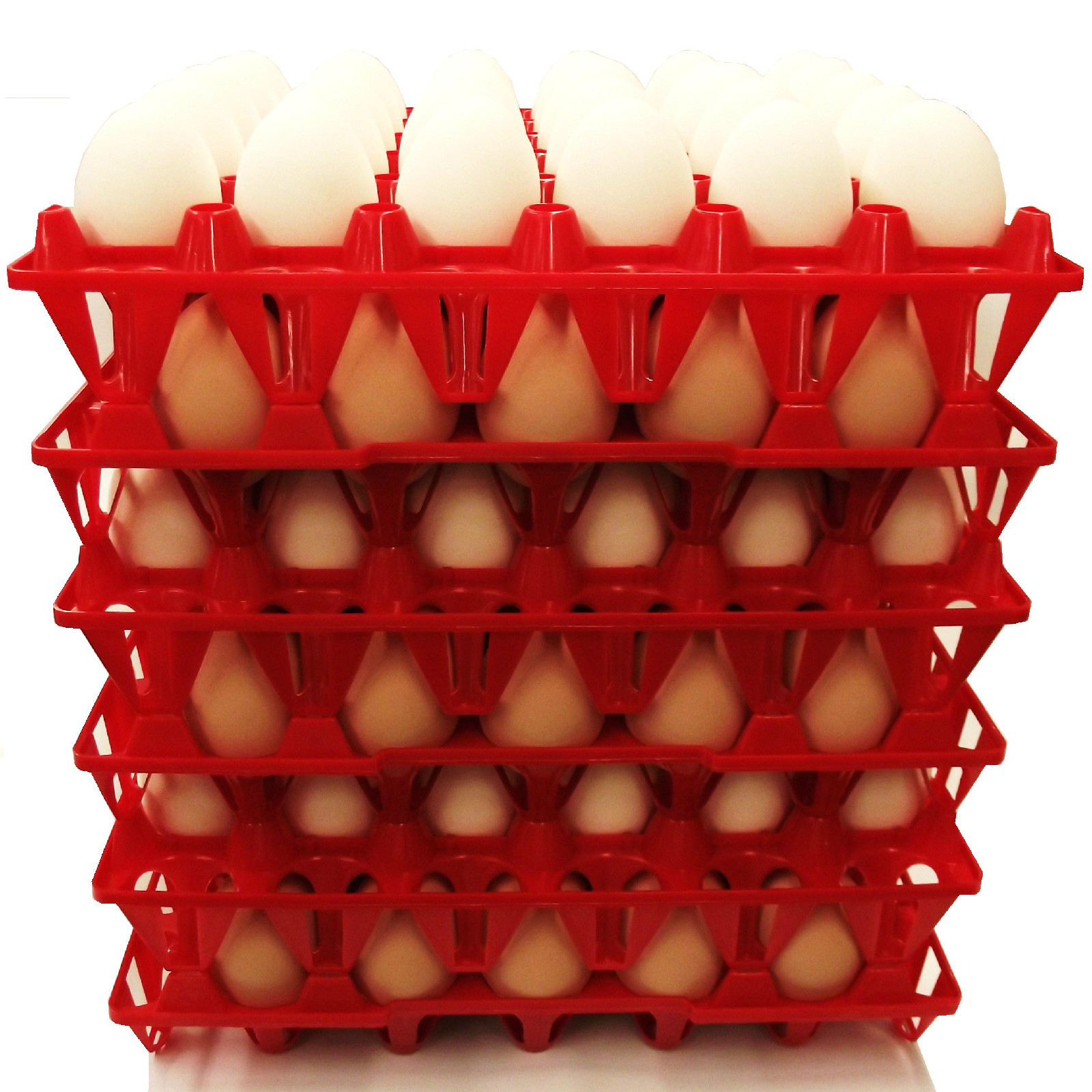 72 RITE FARM PRODUCTS 30 EGG PLASTIC CHICKEN TRAYS SHIPPING CARTON POULTRY FLAT