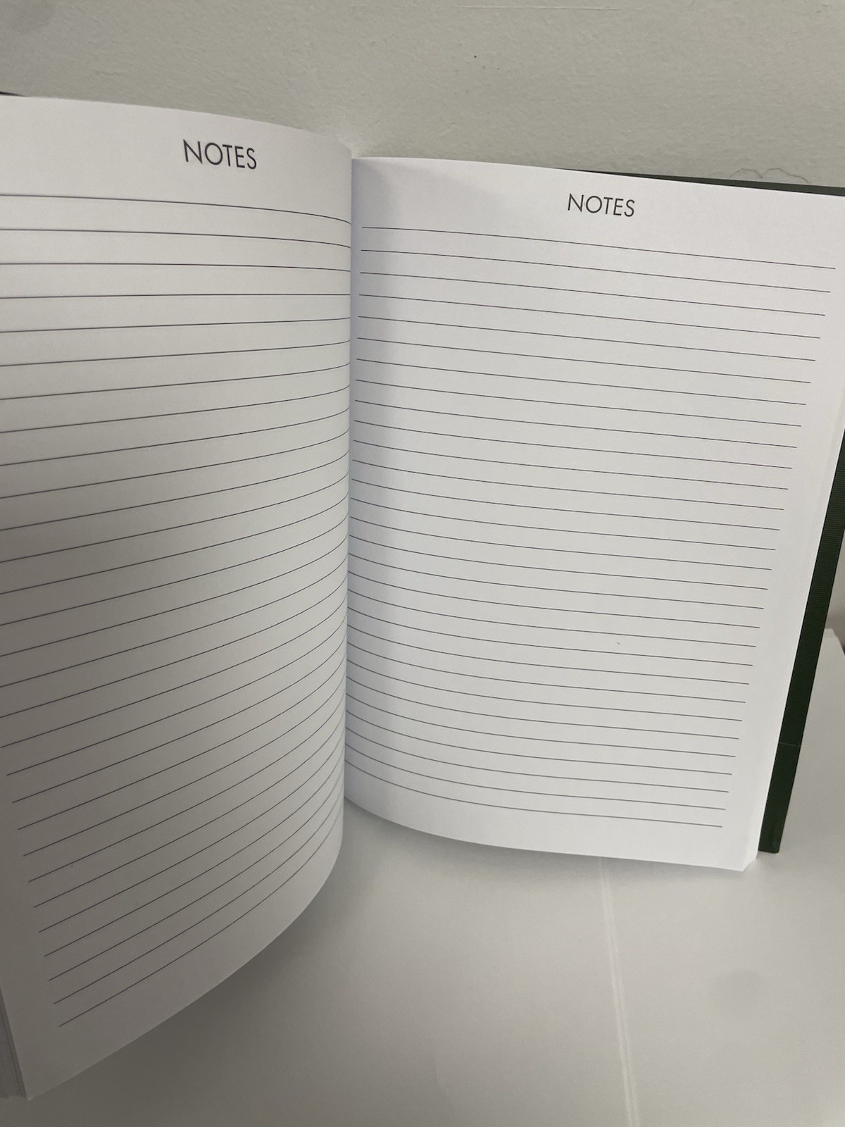 Punch Studio 12 Months Green Floral 2025 Planner Monthly & Weekly Planner