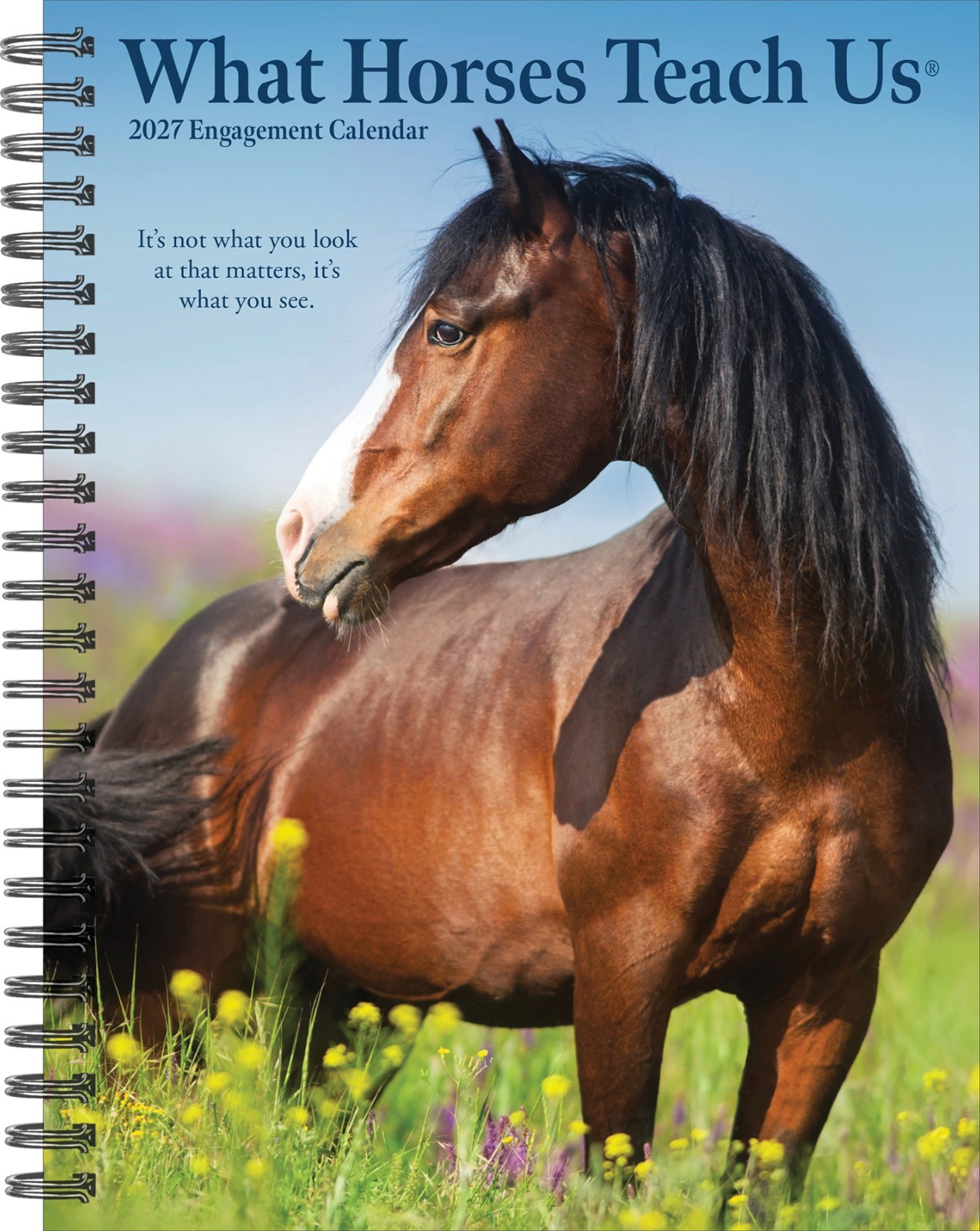 What Horses Teach Us 2027 6.5″ x 8.5″ Engagement Calendar