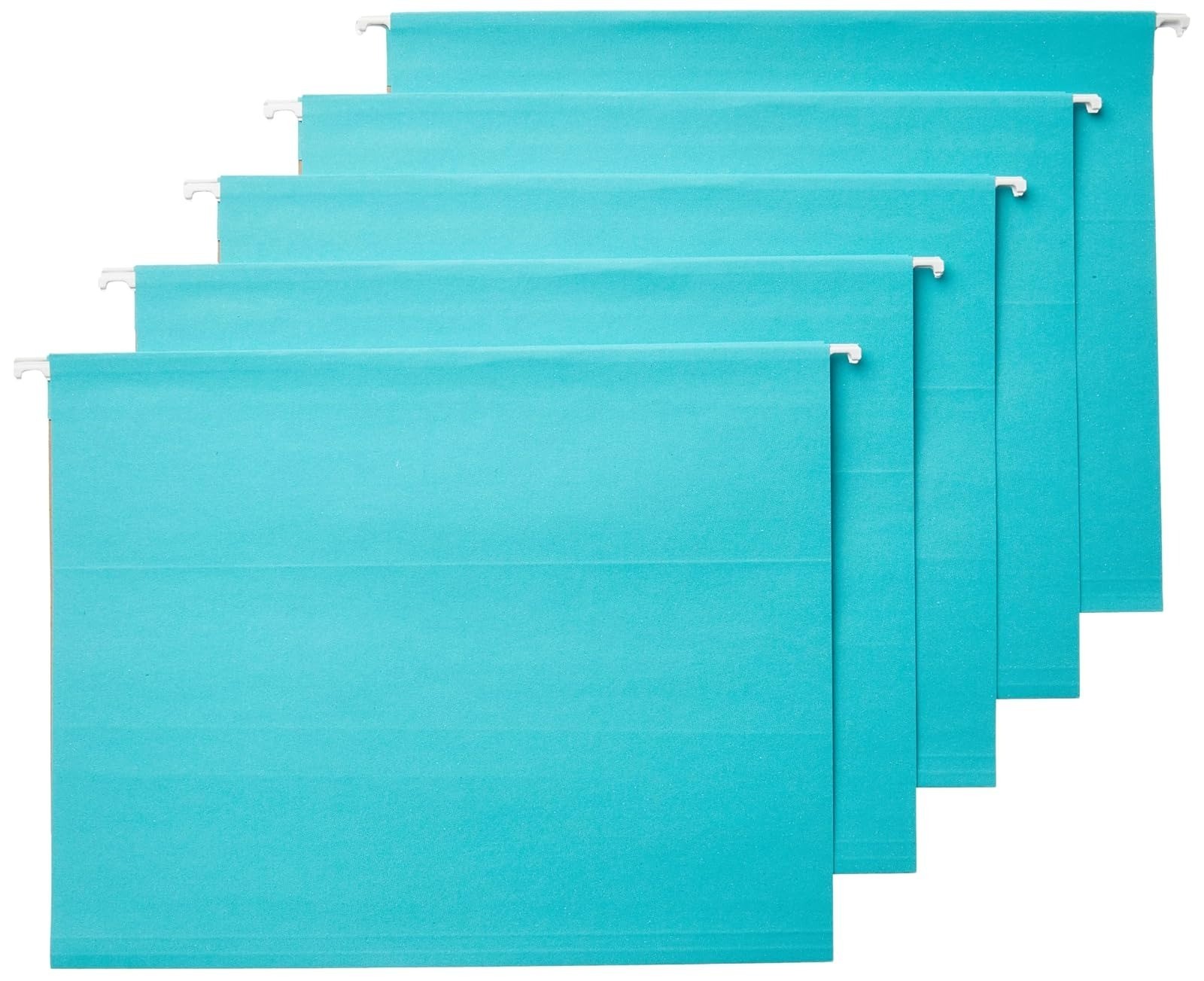 Hanging File Folders with Adjustable Tabs, Sturdy Expandable Documents
