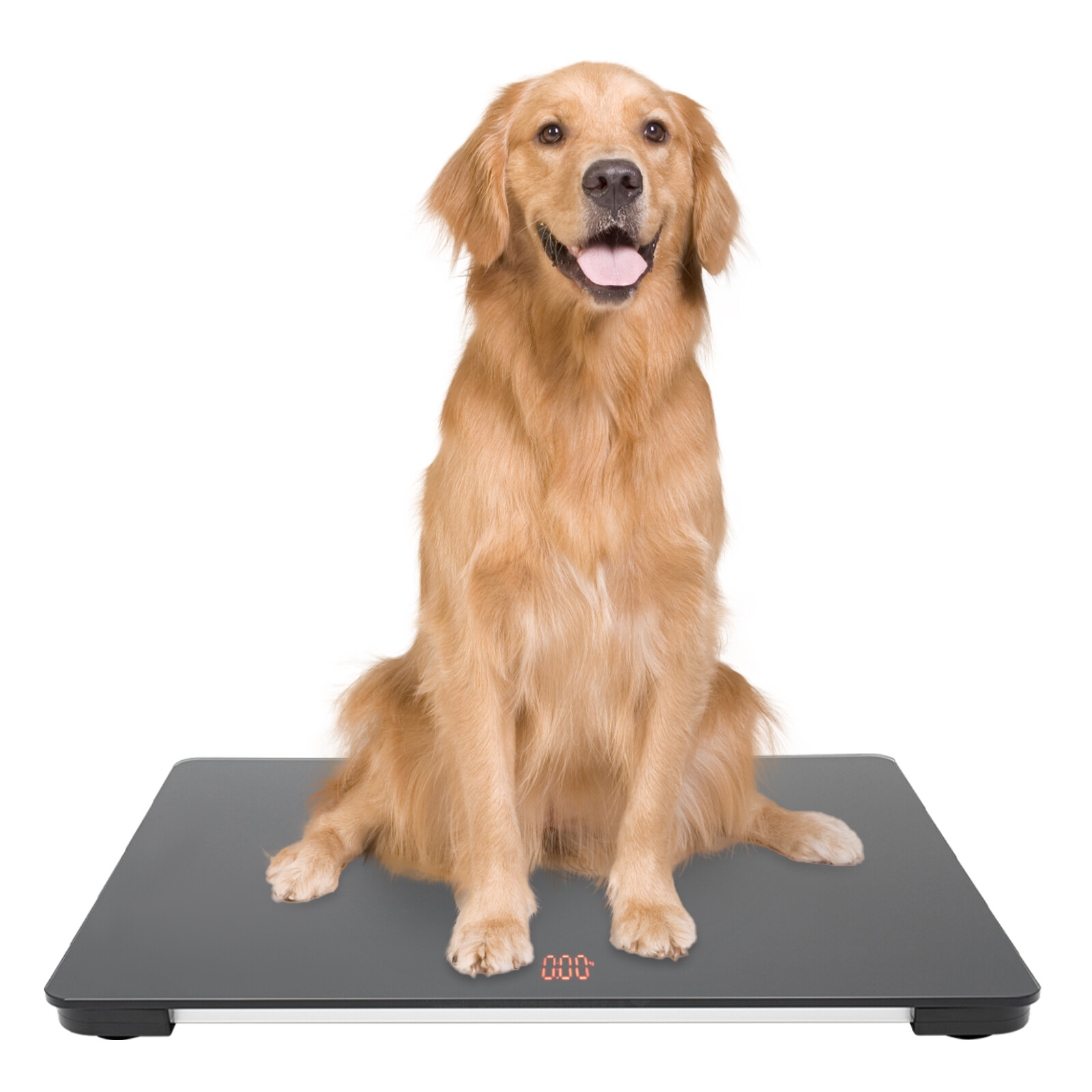 Pet Store Hospital Scale Large Dog Weighing Scale 100KG LCD Scale High Precision