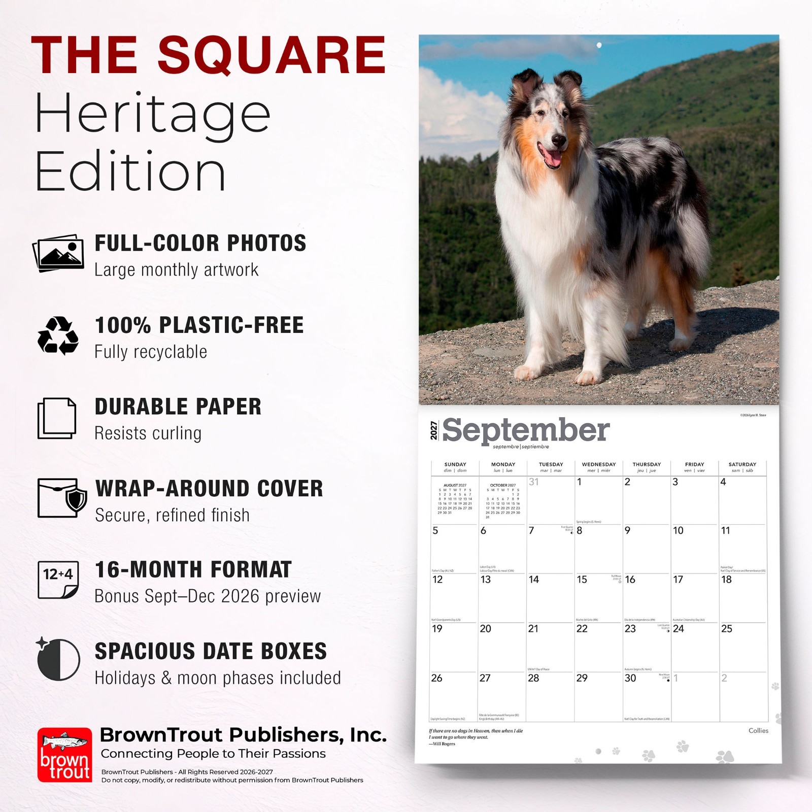 Collies | 2027 12×24″ (Hanging) Monthly Wall Calendar | Plastic-Free