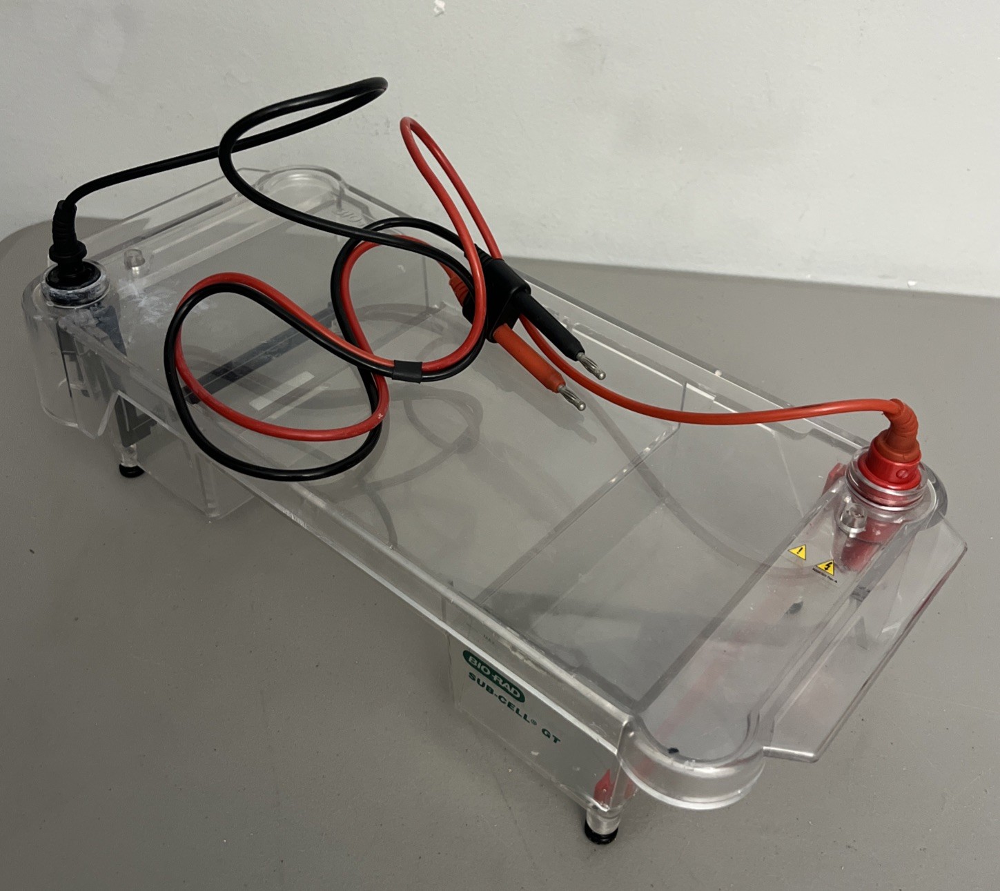 Bio-Rad Sub Cell GT Basic Horizontal Electrophoresis Systems- Working