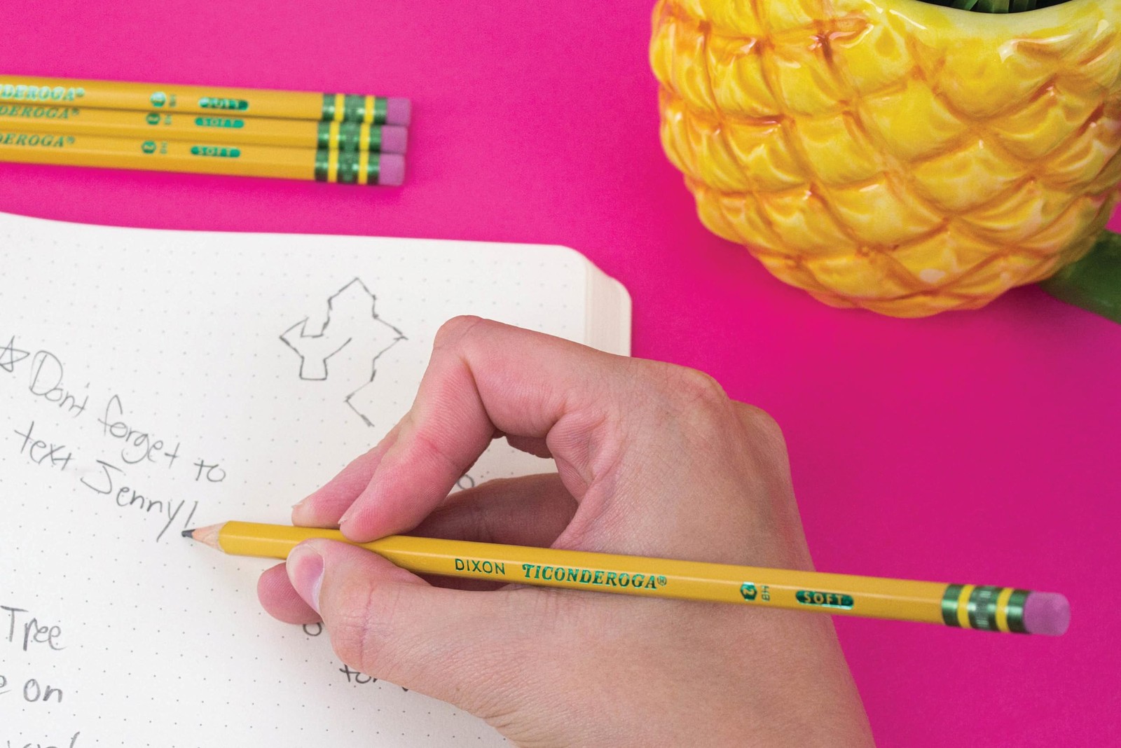 Ticonderoga Wood-Cased Pencils, Pre-Sharpened, 2 12 Count (Pack of 1), Yellow