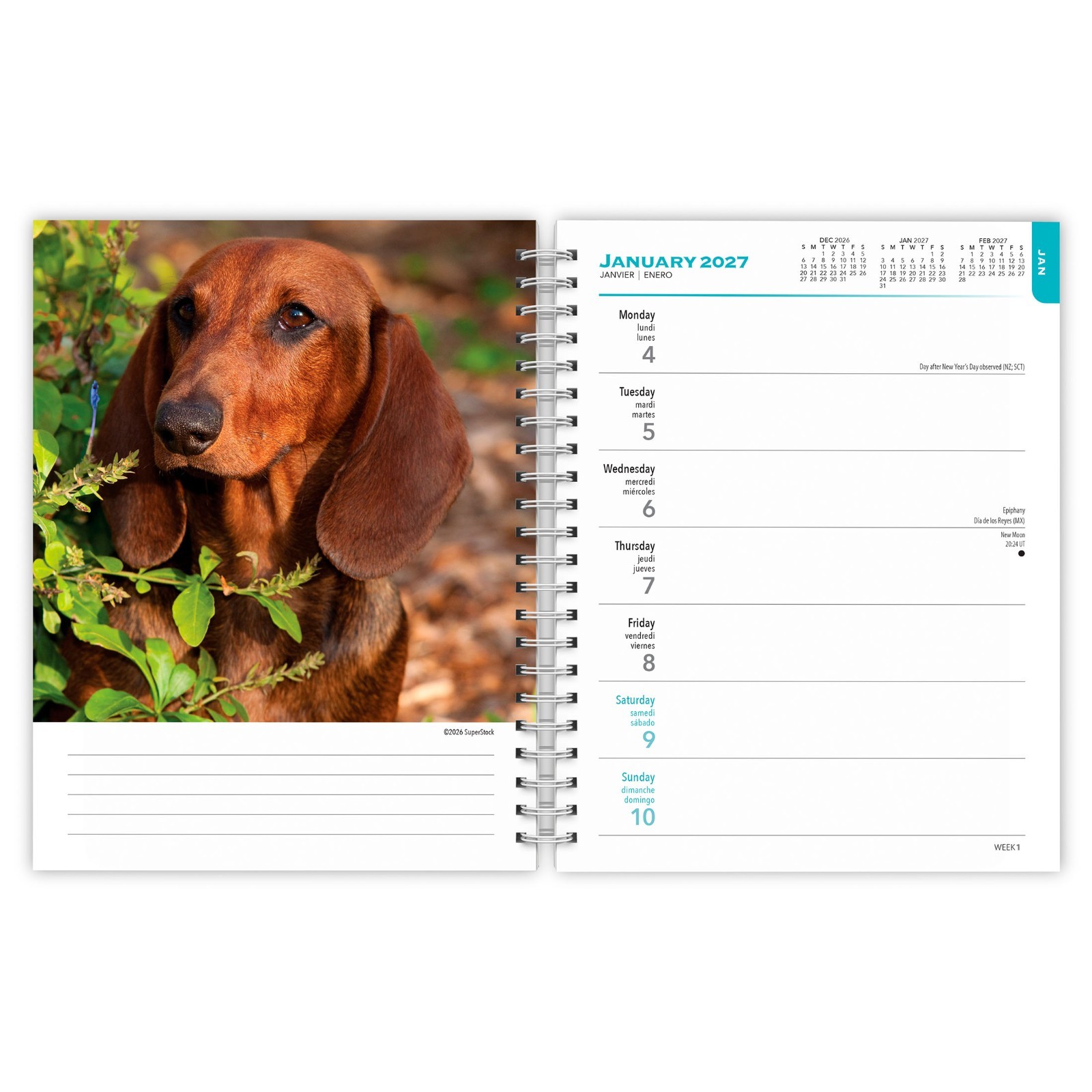 Dachshunds | 2027 6×7.75″ Spiral-Bound Wire-O Weekly Engagement Planner Calendar