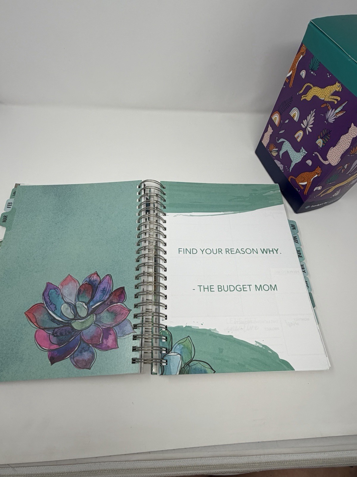 The Budget Mom Live Rich Planner & Budget by Paycheck 12 Month Box Set