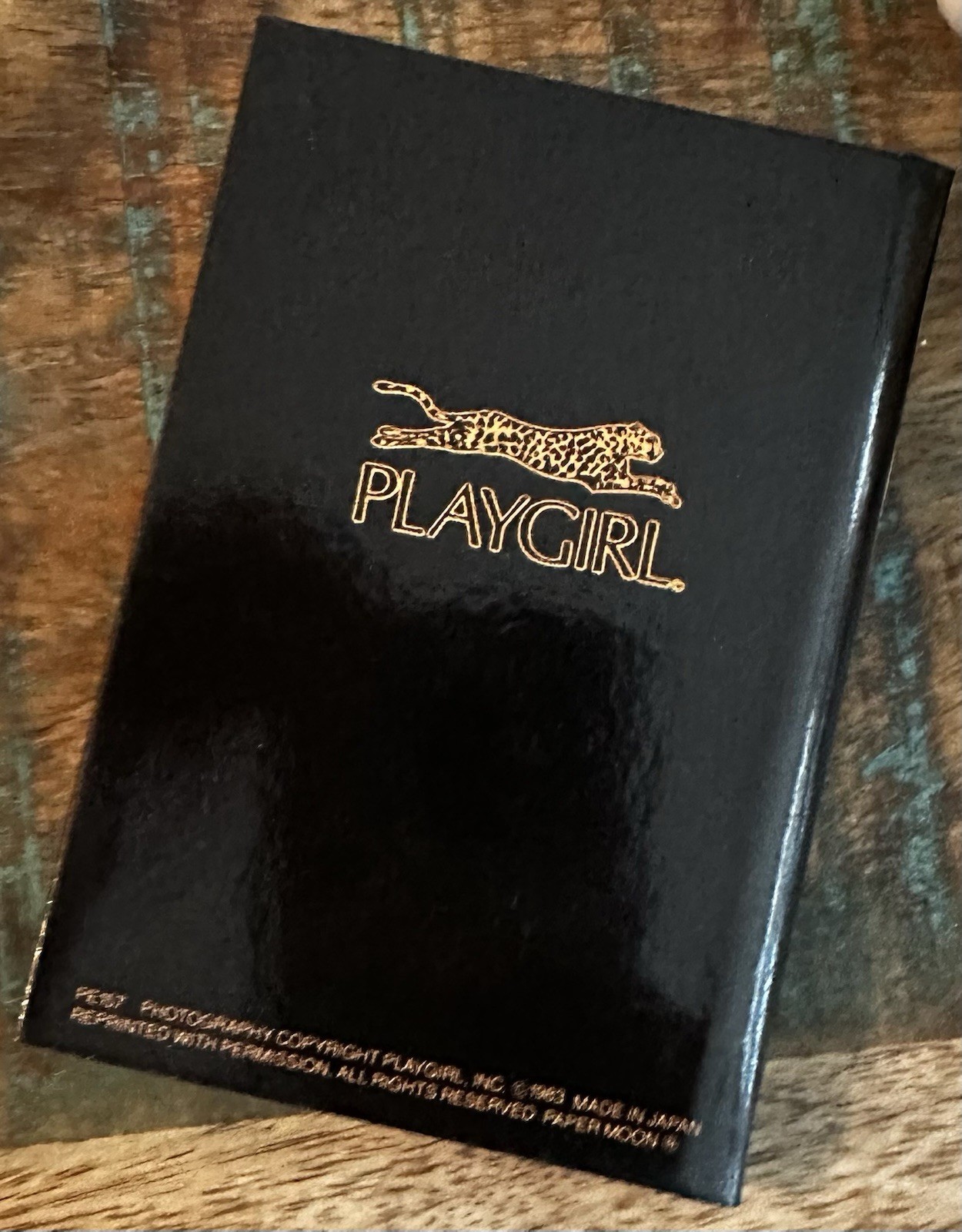 RARE 1983 Vintage Playgirl Phone Book/Address Book Unused Paper Moon Graphics