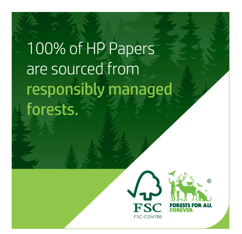 (2 Pack) HP Copy & Print20, 20lb, 8.5 x 11, 1 Ream (500 Sheets)