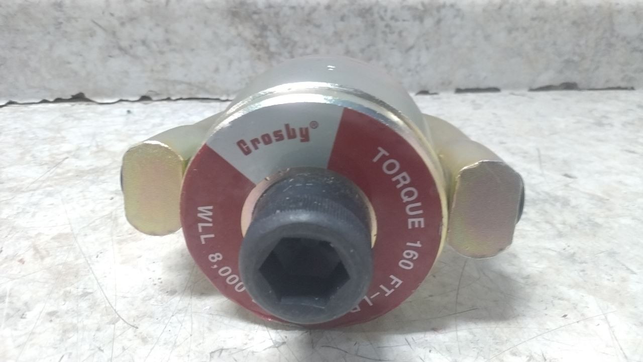 Crosby 1016953 8,000 Lb Working Load Limit Alloy Steel Hoist Ring