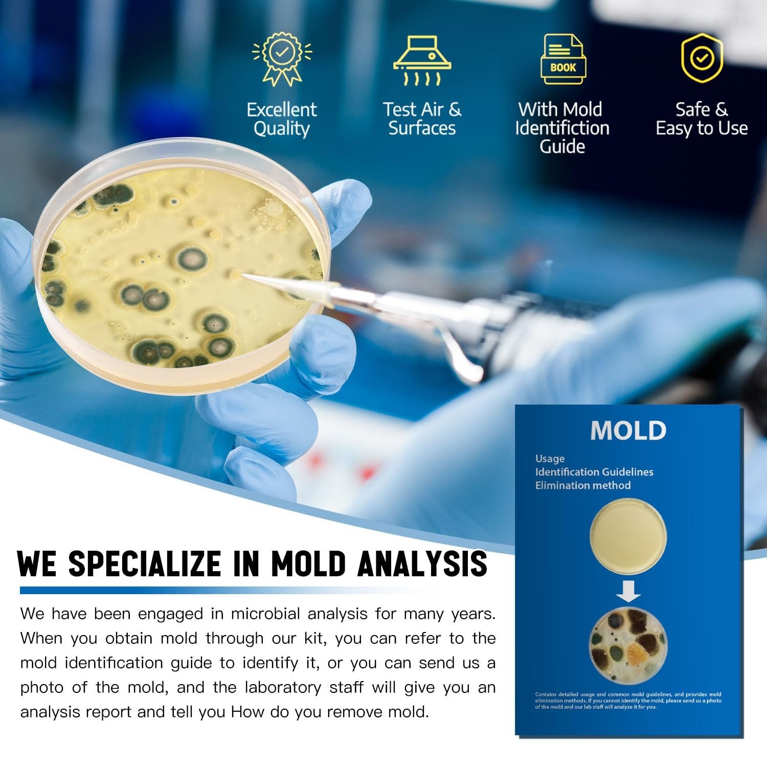 Home Mold Kit – 6 Tests, Black Mold Detector, Free Lab Analysis