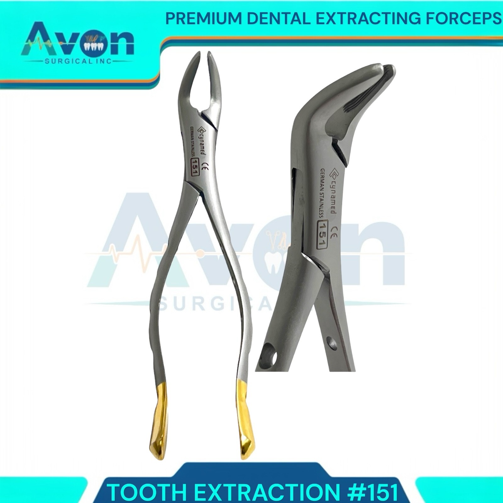Premium German Autoclavable Extracting Forceps #151 Universal Dental Instruments