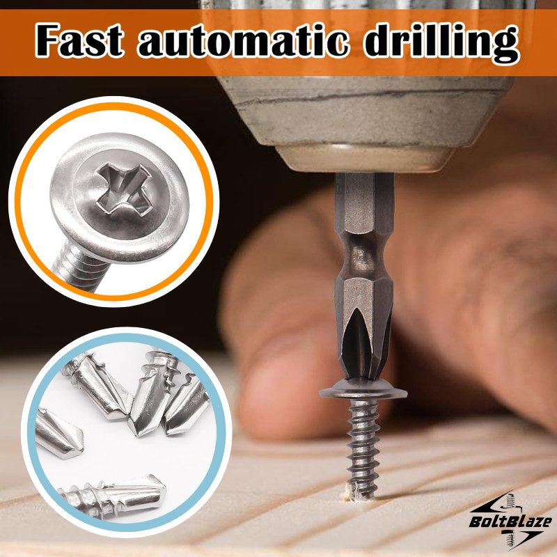 160-Piece #8 Stainless Steel Self-Tapping Screw Kit for Metal & Wood Projects