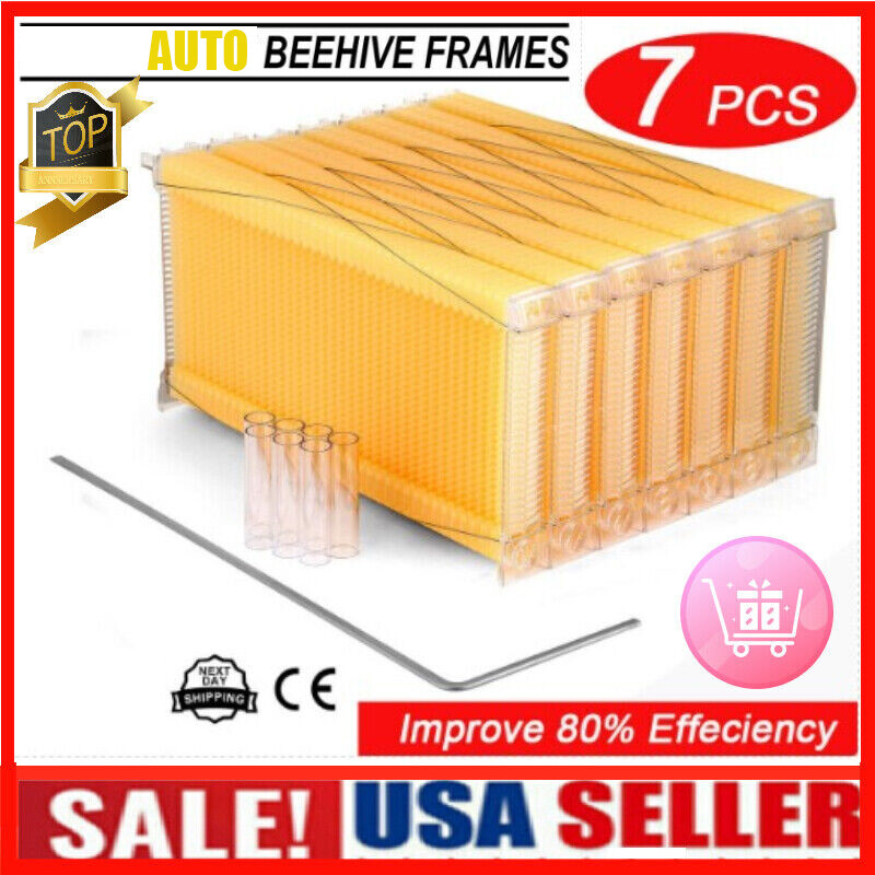 7pcs Auto Oozing Hive Beehives Beekeeping Frames for Brood Beekeeping Box House