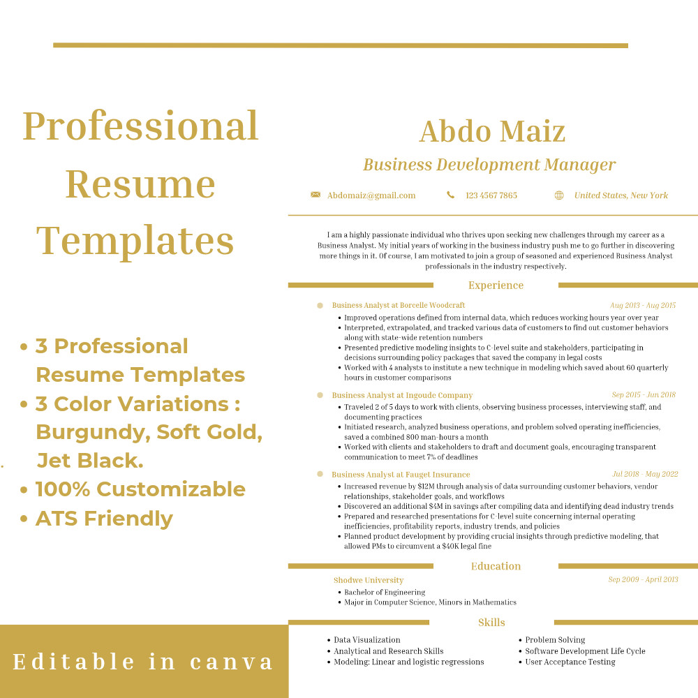 Professional 3 Resume CV Templates | Canva Editable | 3 Colors | ATS friendly