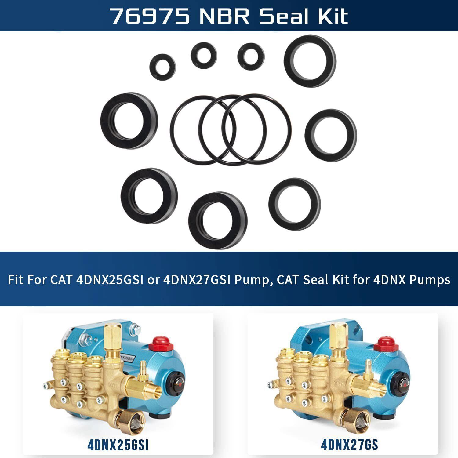 76975 Seal Kit 12Pcs For Cat Pump 4DNX Pumps 4DNX25GSI 4DNX27GSI CAT Seal Kit