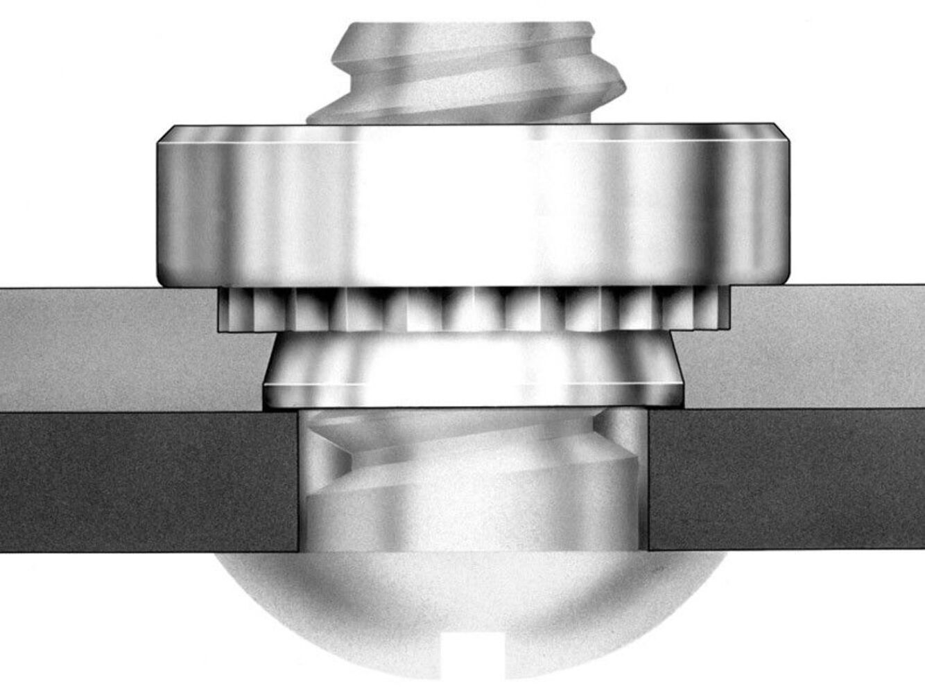 50 Pack 10-24 Self-Clinching Nuts Press-In Sheet Metal Fasteners SS-024-2ZI