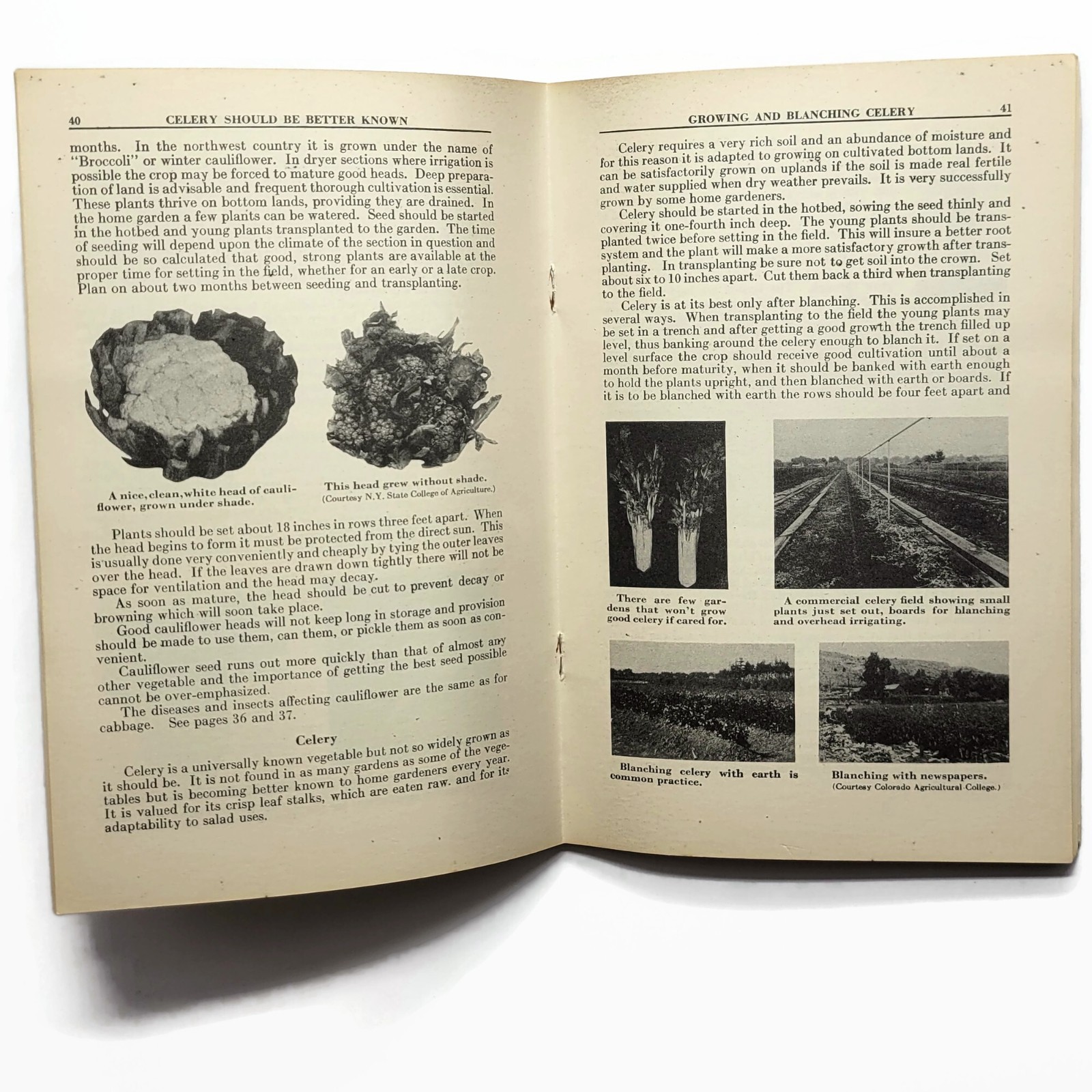 Vintage 1943 WWII Have A Victory Garden Booklet International Harvester Booklet