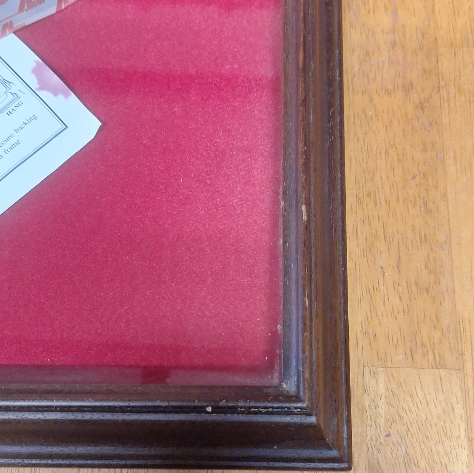 Studio America Wall Mounted Wood & Glass Display Case with Red Felt Interior