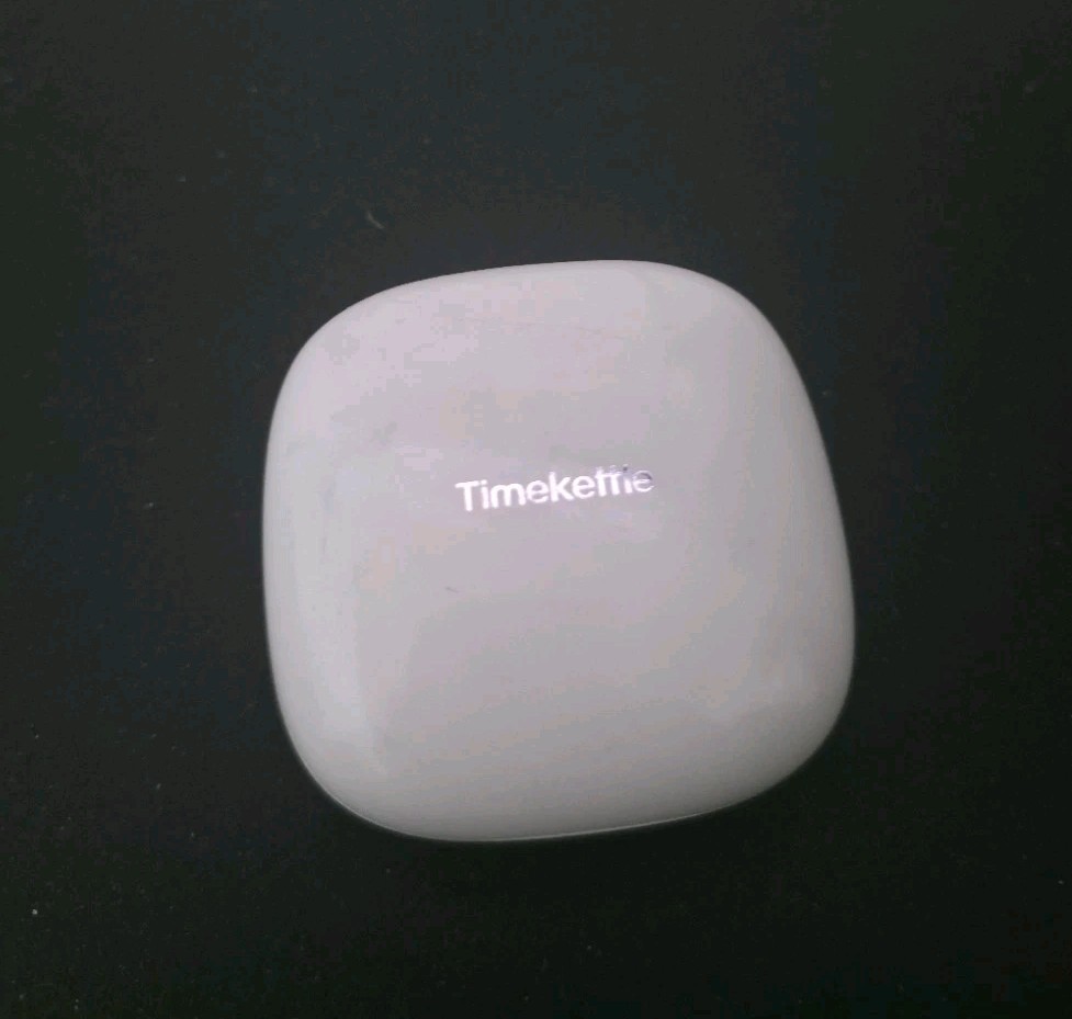 Timekettle WT2 Edge/W3 Translator Device Bidirectional Simultaneous Translation