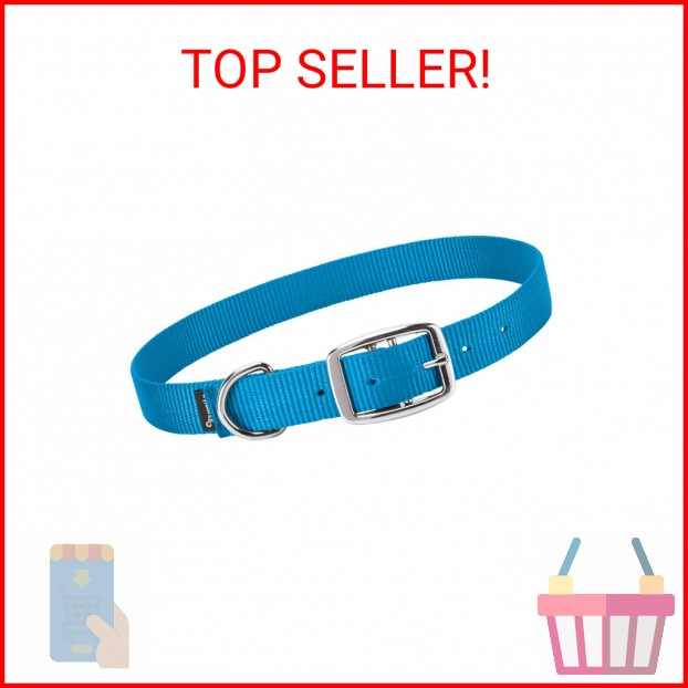 Weaver Leather Livestock Goat Collar, Hurricane Blue, Small