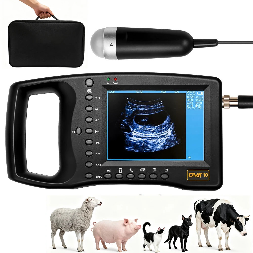Veterinary Ultrasound Machine Lightweight Portable Design for Pregnant Animal