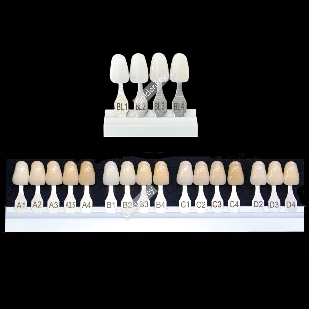 Dental A-D Shade Guide Bleach Teeth Natural Die Porcelain Custom Ivoclar Type US