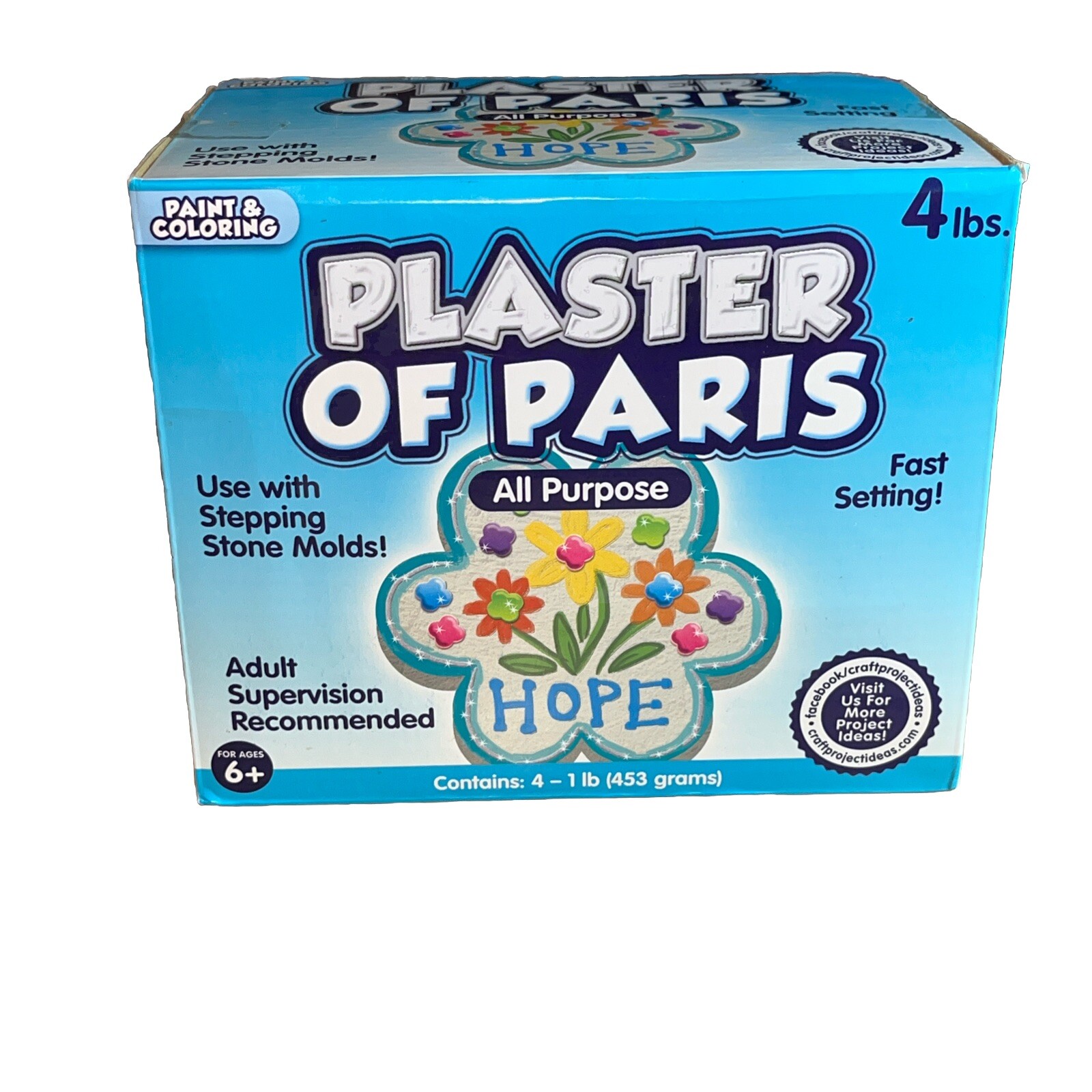 Plaster of Paris, ALL PURPOSE Sets In 20 To 30 Minutes – 4 Lbs Paint & Color