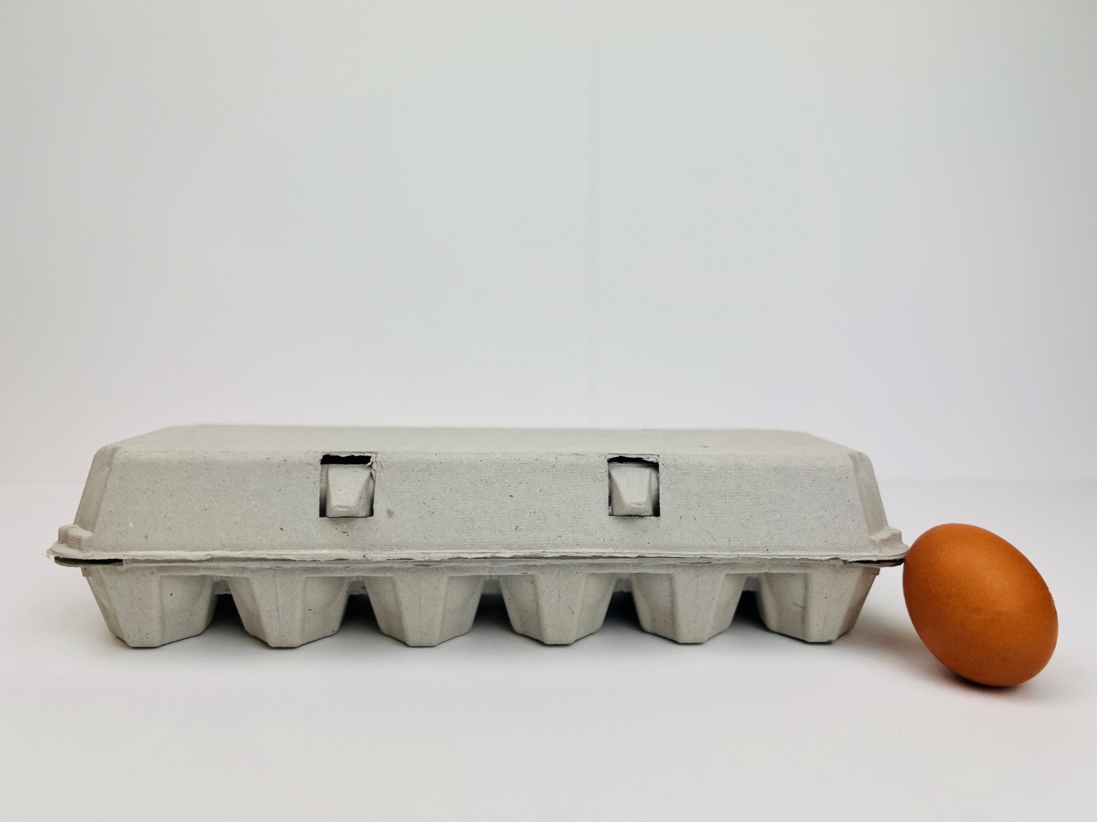 Non-Printed Egg Carton – 100 units