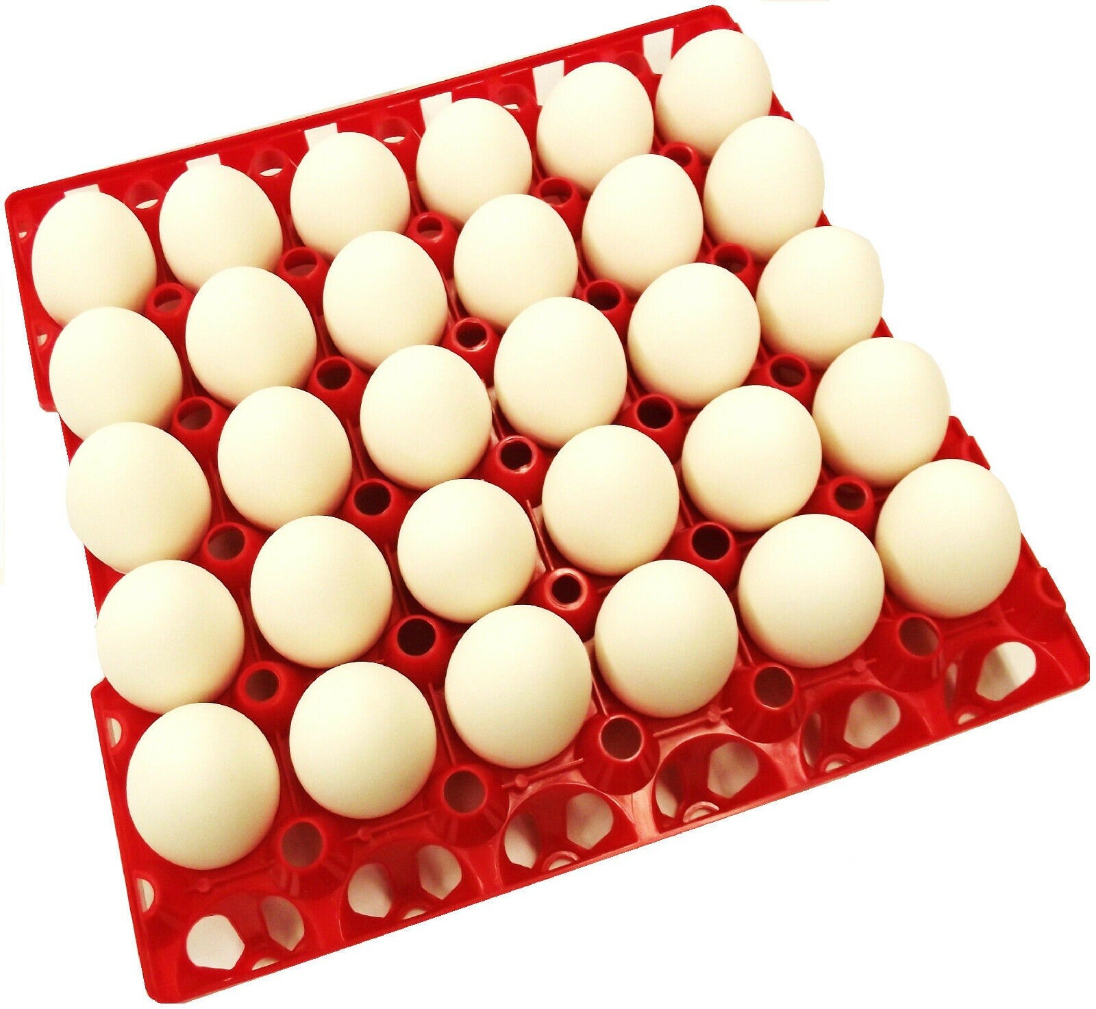 72 RITE FARM PRODUCTS 30 EGG PLASTIC CHICKEN TRAYS SHIPPING CARTON POULTRY FLAT